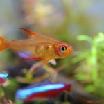 飼育198日目